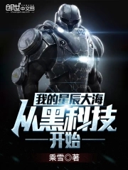 我的星辰大海小说
