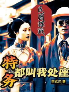 民国卧底谍战小说