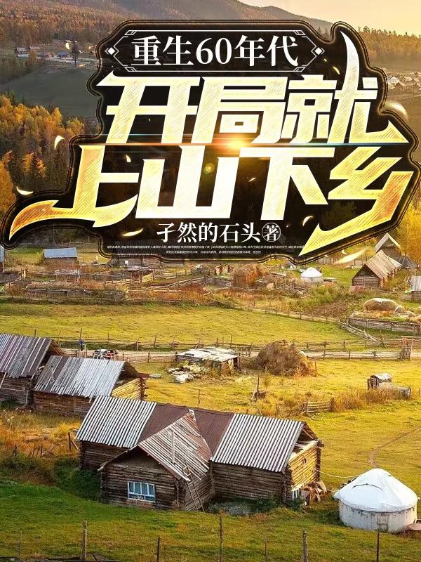 重生60年代,开局就上山下乡作者:孑然的石头