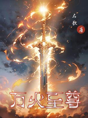 万火至尊 小说