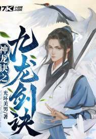 九龙神决小说
