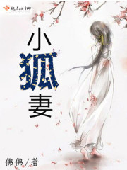 小狐妻小说