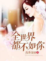 全世界都不如你小说