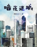 暗夜迷城
