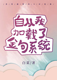 自从我加载了金句系统小说