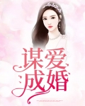 谋爱成婚