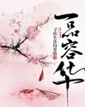 一品容华