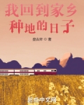 我回到家乡种地的日子