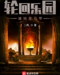 轮回乐园:遍地是马甲