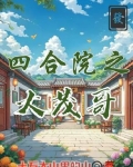 四合院之大茂哥
