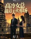高冷女总裁追夫火葬场