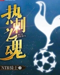 热刺之魂